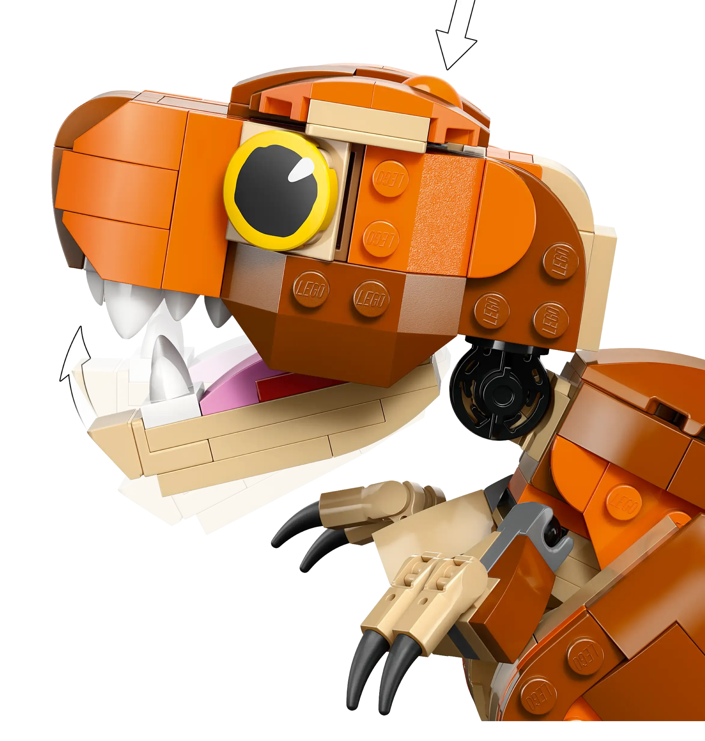 Thumb 2